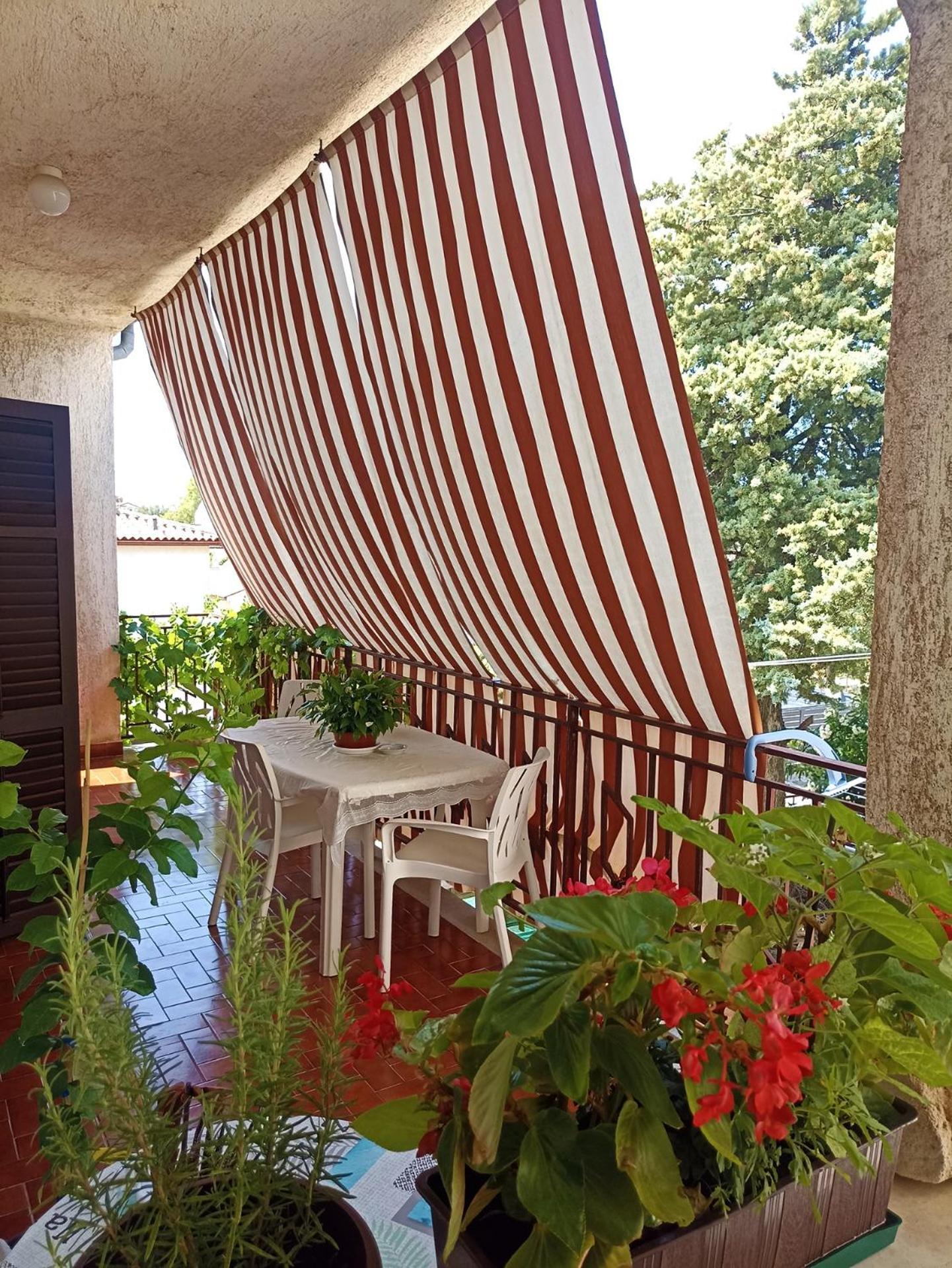 Apartments Villa Laura بولا المظهر الخارجي الصورة
