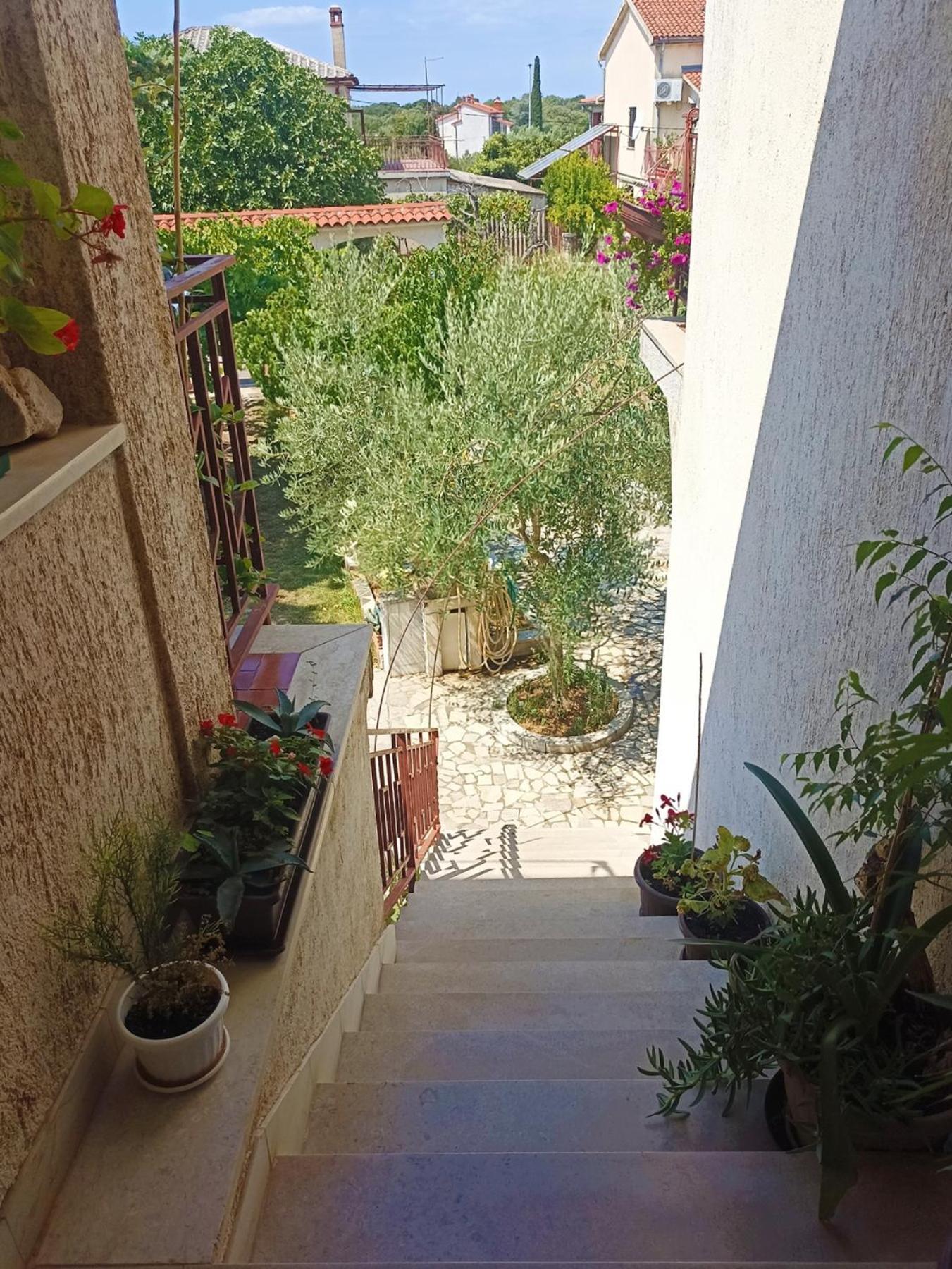 Apartments Villa Laura بولا المظهر الخارجي الصورة