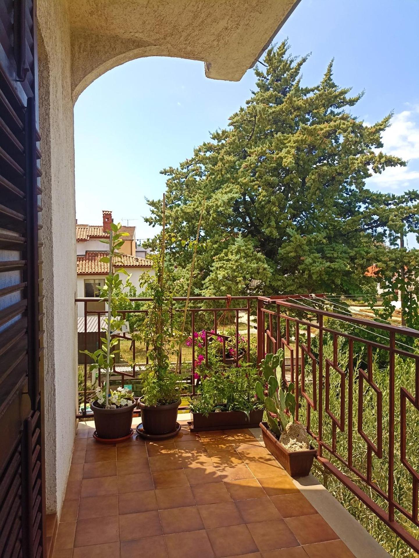Apartments Villa Laura بولا المظهر الخارجي الصورة