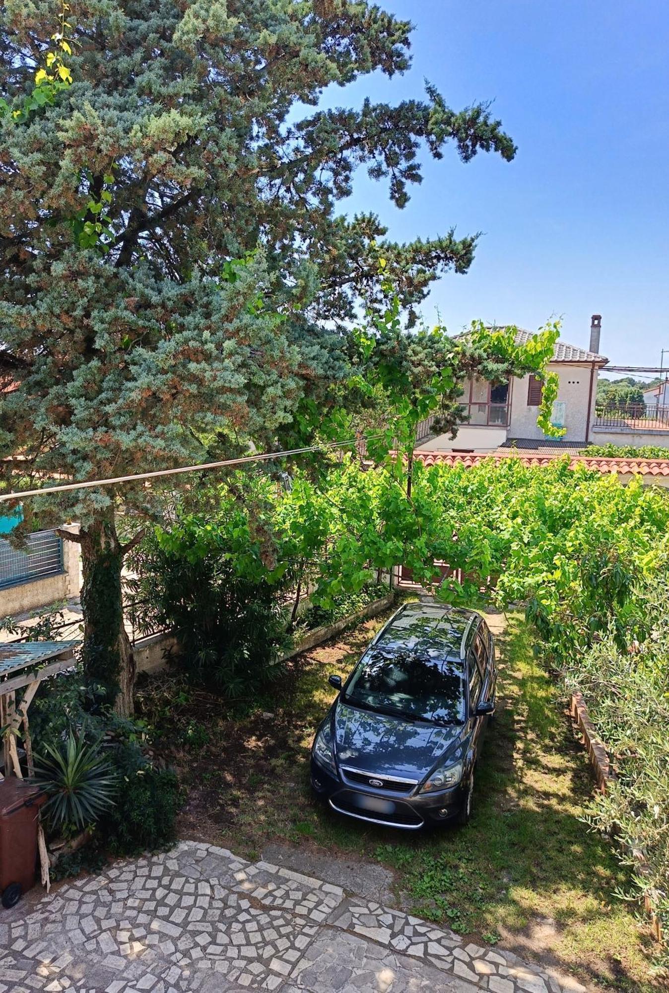 Apartments Villa Laura بولا المظهر الخارجي الصورة