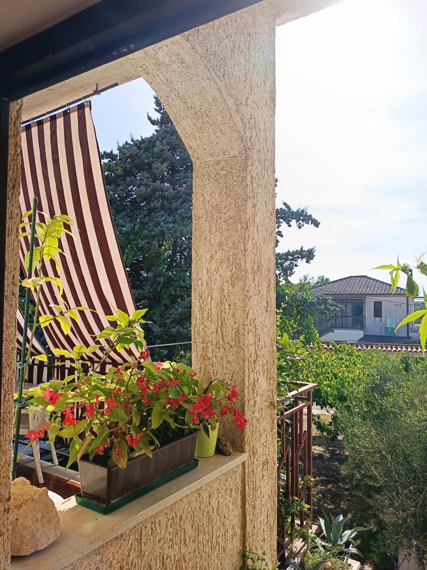 Apartments Villa Laura بولا المظهر الخارجي الصورة